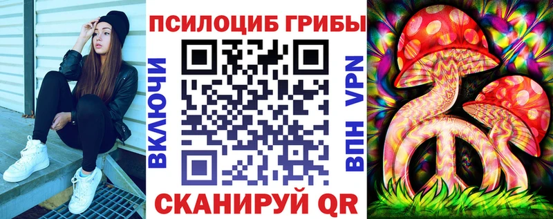 Псилоцибиновые грибы Psilocybine cubensis  Боровичи 