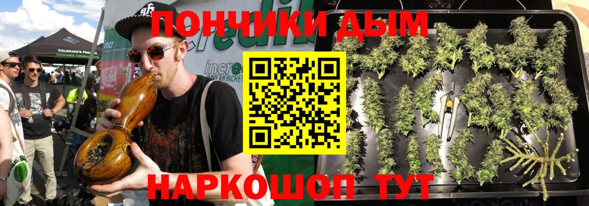 Бошки Шишки индика Боровичи
